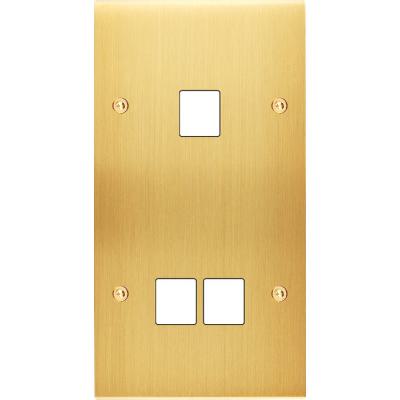  FAC LAITON LAIT-S DV M1 M2 VIS 