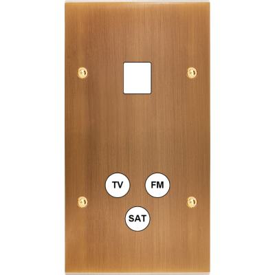  FAC LAITON BRONZE DV M1 C3 VIS 