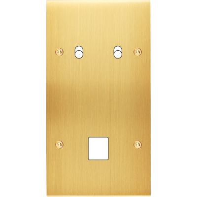  FAC LAITON LAIT-S DV B2 M1 VIS 