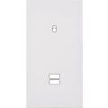  FAC DE BLANC MAT DV B1 U1 