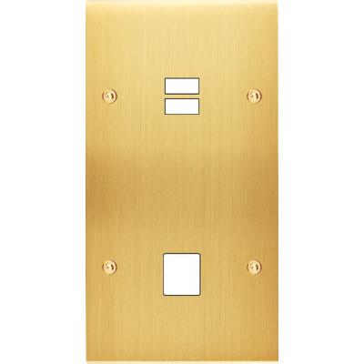  FAC LAITON LAIT-S DV U1 M1 VIS 