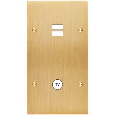  FAC LAITON LAIT-B DV U1 C1 VIS 