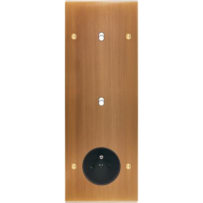  FAC LAITON BRONZ TV B1 B1 PC V 