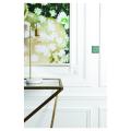  FAC LAIT JADE TV PCK M1 M2 VIS 