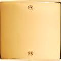  FAC LAITON DORE S KNX 4 F VIS 