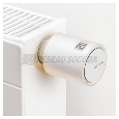  TETE THERMOSTATIQUE 