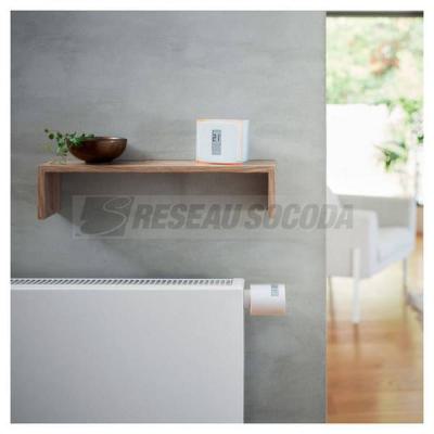  TETE THERMOSTATIQUE 