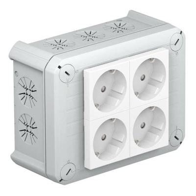  Boite T 100 4MSD WS 