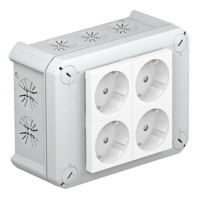 Boite T 100 4MSD WS 