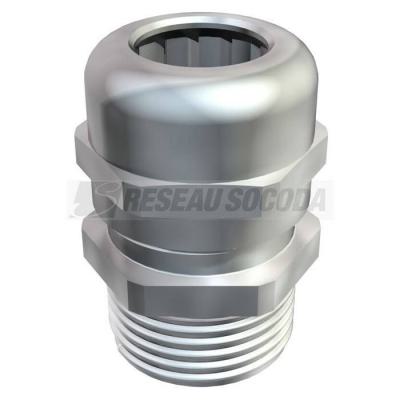  PE V-TEC VM LM63 MS 