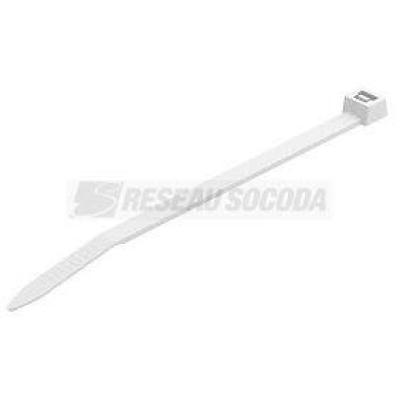  Collier 565 4.8x200 WS 