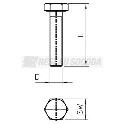  Vis HHS M10x45 A2 