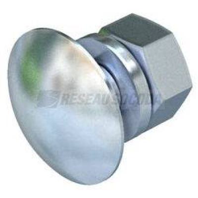  Boulon FRS 12x25 F 