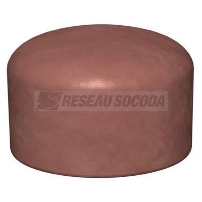  Bouchon FBA-SN165 