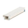  Goulotte CF PLCS D060810 