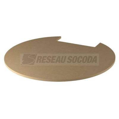  Plaque FS R7 10 5 