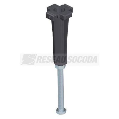  Pied NE DSU2 10075 