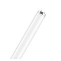  OSRAM SA-Type T12 T12 L 65W/6! 