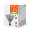  LED V PAR38 120 827 E27 