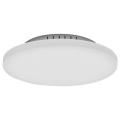  PLANON FRAMELESS RD300 19W/830 
