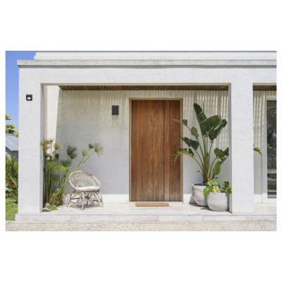  SM+ WF D�tecteur ext. gris 