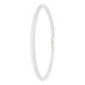  LED FC4055 EXT 21.5W 865 2GX13 