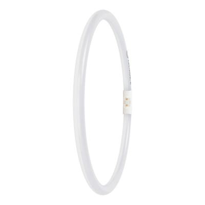  LED FC4055 EXT 21.5W 865 2GX13 