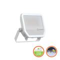 FL50 41W/865 SYM100 ML IP66 WT 