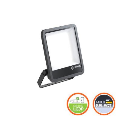  FL250 167W/830 SY100 ML IP66BK 