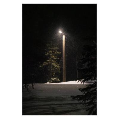  Lanterne Streetlight FLEX Sma! 