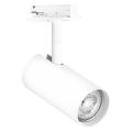  LDV TrackLIGHT SPOT CYLINDER ! 