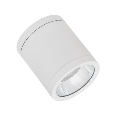 DL SF DN90 15W/830 60� IP65 WT 