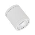  DL SF DN90 15W/840 60� IP65 WT 
