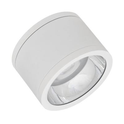  DL SF DN160 30W/840 36� IP65WT 