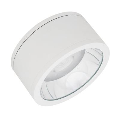  DL SF DN250 45W/840 36� IP65WT 