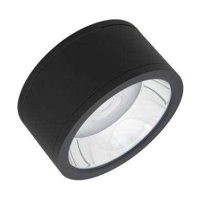  DL SF DN250 45W/830 60� IP65BK 