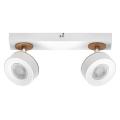  Spot Pluto 10W/830 duo Blanc 