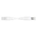  ACCESSOIRE RUBAN LED PERFORMA! 
