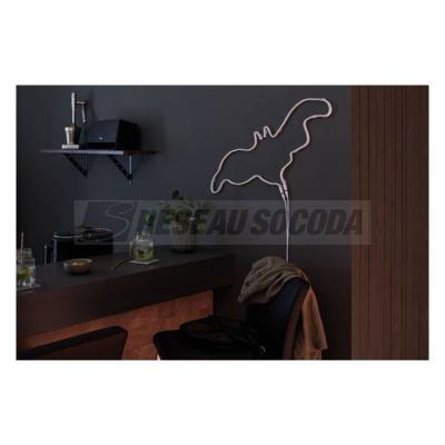  Ruban LED Neon Colorflex 1m or 