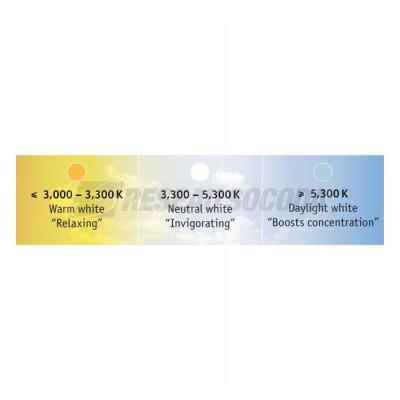  Kit MaxLED500 recouvert 1,5m T 