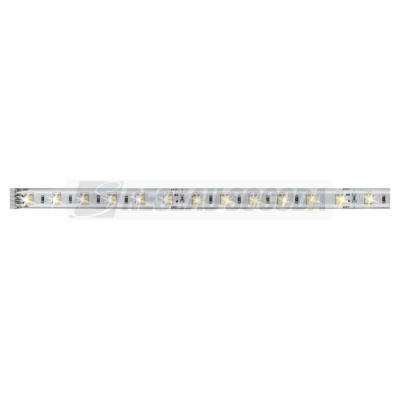  Ruban MaxLED500 recouvert 1m T 
