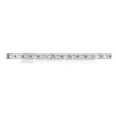  Ruban MaxLED500 recouvert 1m T 