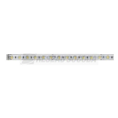  Ruban MaxLED500 recouvert 1m T 