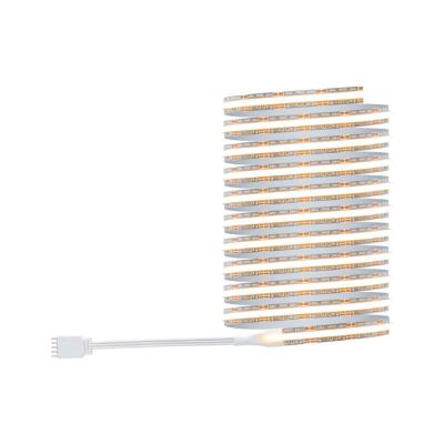  Ruban MaxLED500 Full-Line COB 