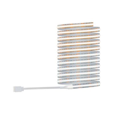  Ruban MaxLED500 Full-Line COB 