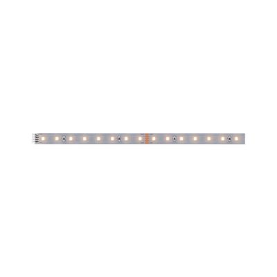  MaxLED 500 Stripe 1m Blanc cha 