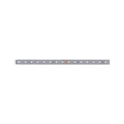  MaxLED 500 Stripe 1m Blanc cha 