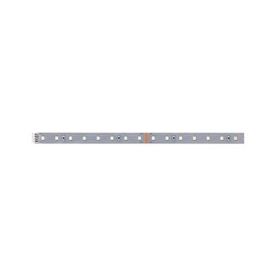  MaxLED 500 Stripe 1m Blanc neu 