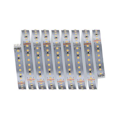  MaxLED 1000 Stripe 2,5m Blanc 