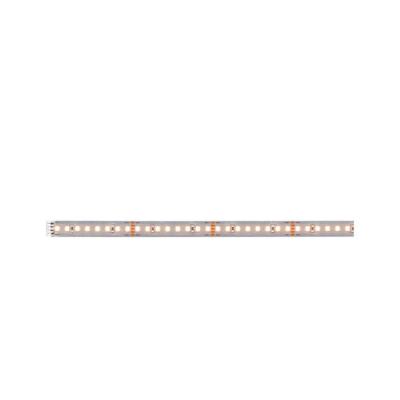  MaxLED 1000 Stripe 1m Blanc ch 